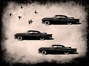 Douglas Pittman - Birds of a Feather