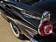 Douglas Pittman - Black T Bird Tailfeather